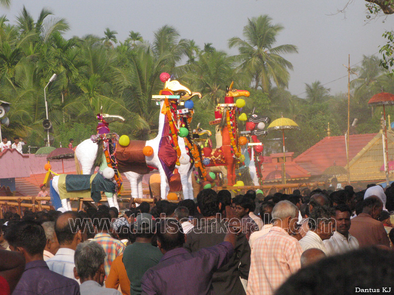 mangad-pooram-2011 (23)